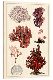 Hout print Coral Study II