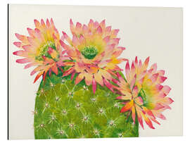 Magnettafel Wüstenblüten I