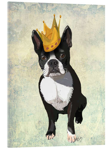 Akryylilasitaulu Boston Terrier with crown