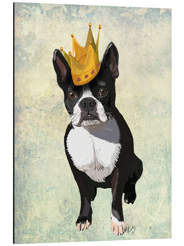 Aluminiumtavla Boston Terrier with crown