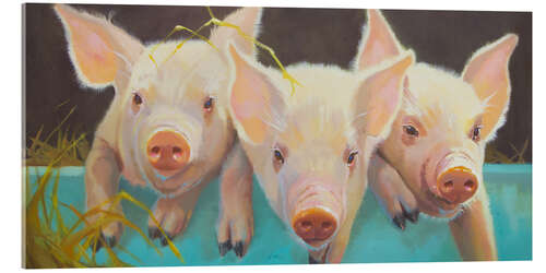 Acrylglasbild Das Leben als Schwein I