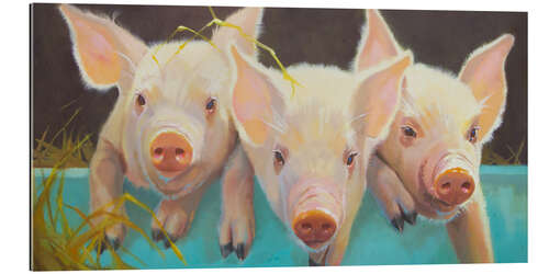 Gallery print Life as a Pig I