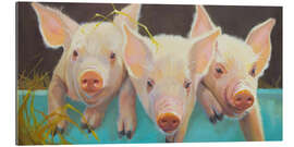 Gallery print Life as a Pig I