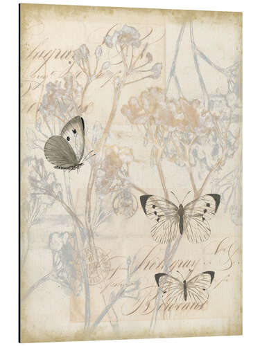 Aluminium print Vintage butterflies