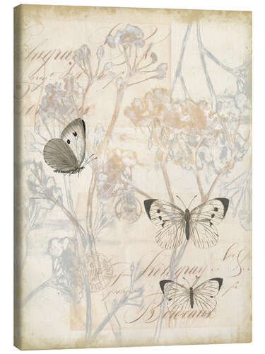 Canvas print Vintage butterflies