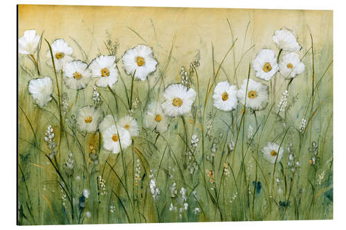 Obraz na aluminium Daisies in spring I