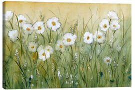 Lærredsbillede  Daisies in spring I - Tim O&#039;Toole
