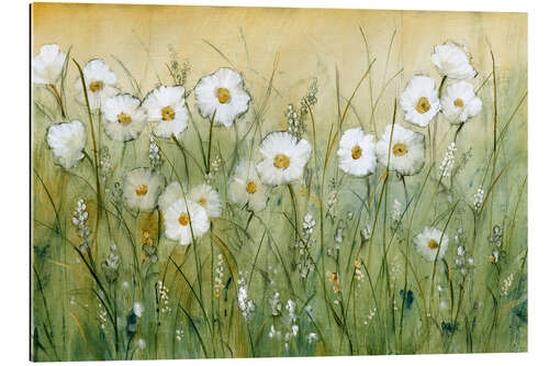 Gallery print Daisies in Spring I