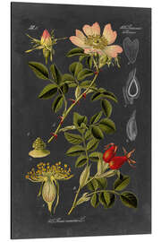 Magnettafel Hagebutte