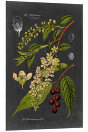 Magnettafel Kirschen