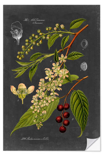 Sticker mural Cerises