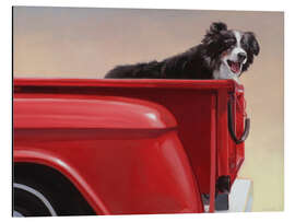 Aluminiumsbilde Border collie traveling