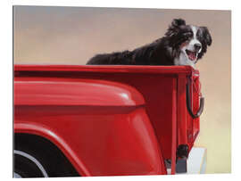 Galleriprint Border collie traveling