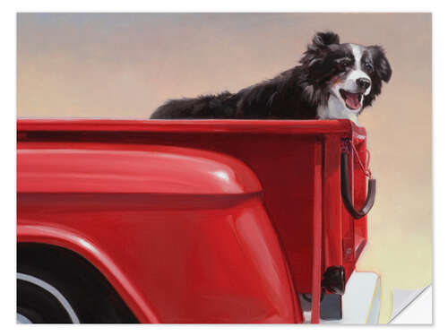 Selvklebende plakat Border collie traveling