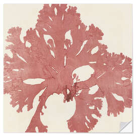 Wall sticker Red seaweed