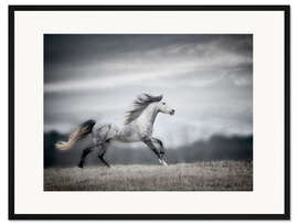 Gerahmter Kunstdruck Mähne im Wind II