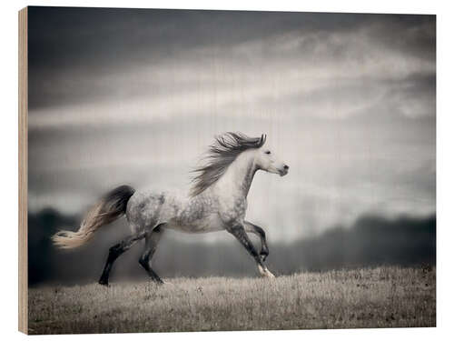 Wood print Wind Blown Mane II