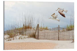 Magnettafel Blick auf den Wasservogel I