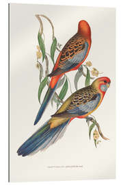 Galleriprint Tropical Parrots II