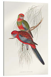 Gallery print Tropical Parrots III