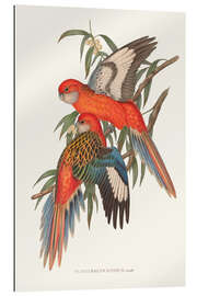 Gallery print Tropical Parrots I