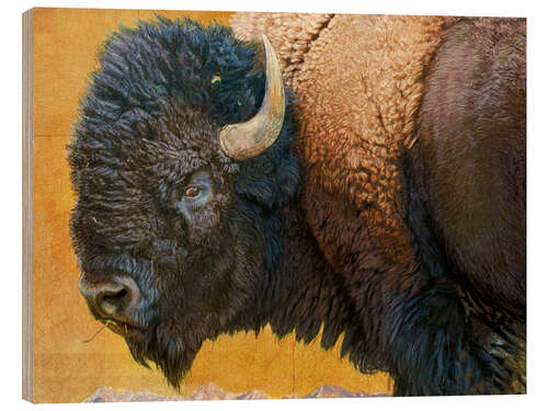 Wood print Bison Portrait III