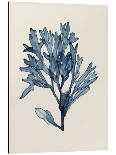 Aluminiumtavla Sea algae VI