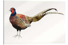 Galleriprint Pheasant II