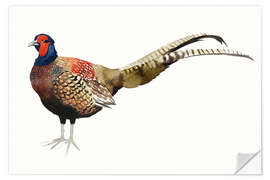 Selvklebende plakat Pheasant II