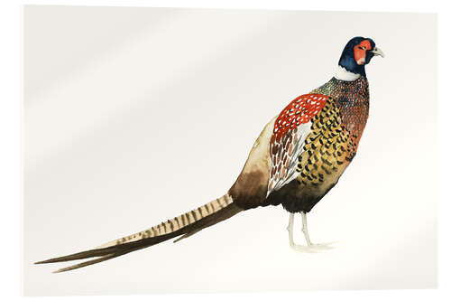 Akrylbilde Pheasant I