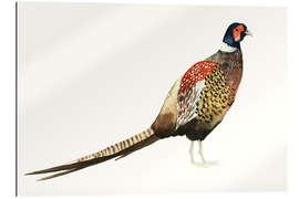 Galleriprint Pheasant I