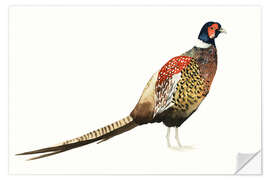 Wall sticker Pheasant I