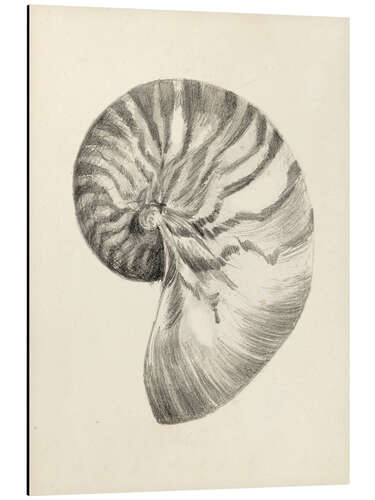 Alumiinitaulu Nautilus