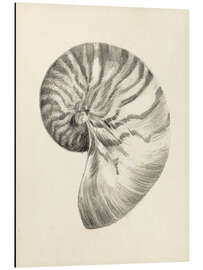 Magnettafel Nautilus