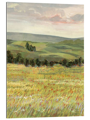 Gallery print Morning meadow