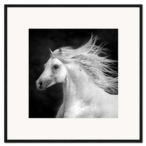 Framed art print Horses IV