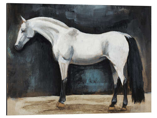 Aluminium print Equestrian study