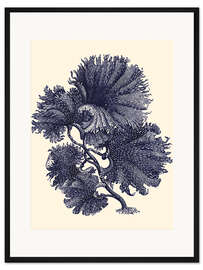 Gerahmter Kunstdruck Indigo-Alge I