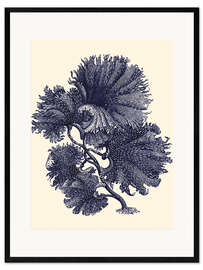 Framed art print Indigo Kelp I