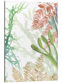 Magnettafel Seepflanzen I