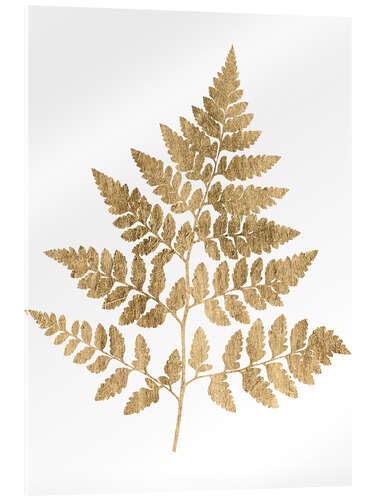 Acrylic print Graphic Gold Fern I