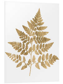 Foam board print Graphic Gold Fern I