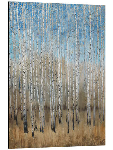 Aluminium print Blue birches