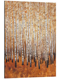 Aluminium print Sienna birches