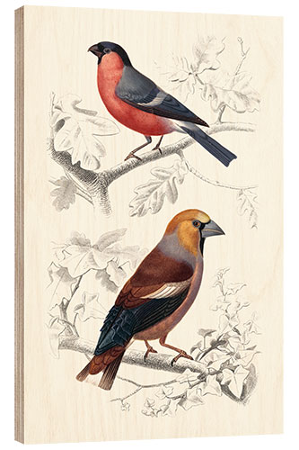 Wood print Birds IV