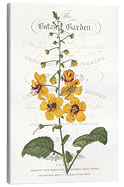 Canvas print Garden flower