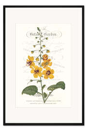 Gerahmter Kunstdruck Gartenblüte