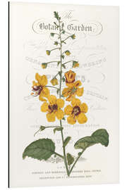 Magnettafel Gartenblüte