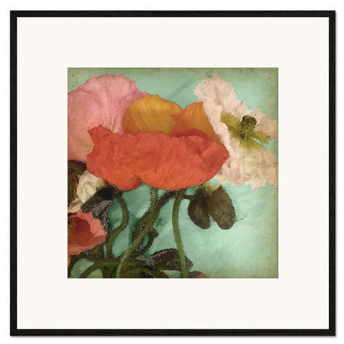 Ingelijste kunstdruk Aquatic Poppies II