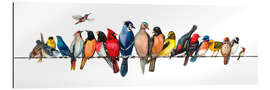 Gallery print Large Bird Menagerie II